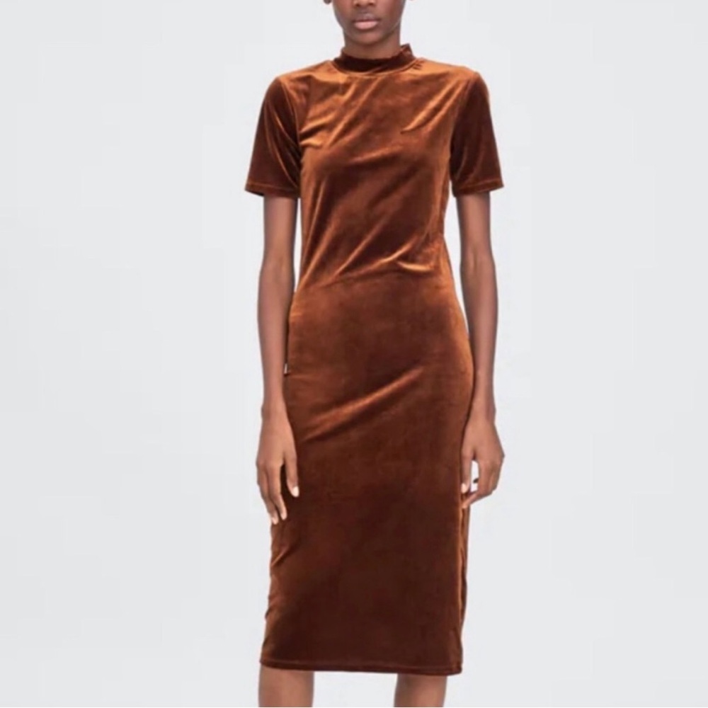 Zara Chestnut Velvet Midi Dress